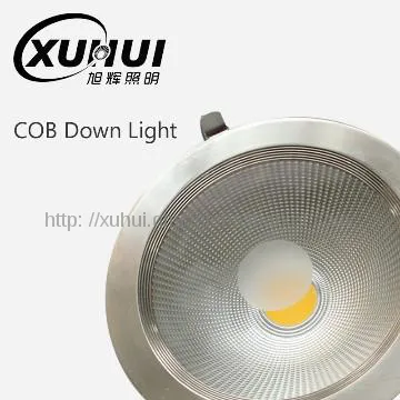 Sharp citizen CE downlight fixture