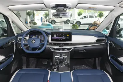 Maple Leaf 80v Pro 2022 New Energy Vehicle