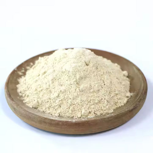 Garlic Extract Powder Bulk for Seasoning Pure Garlic Powder