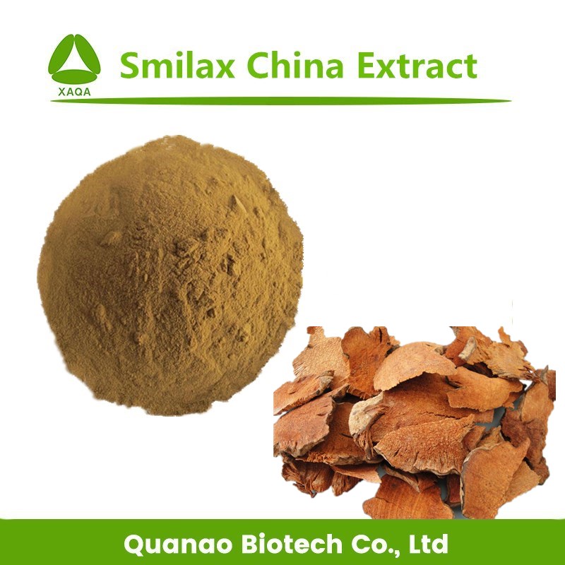 Smilax Root Extract Powder/Smilax P.E 10:1