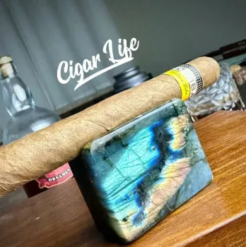 Elegant Gemstone Cigar Holder Ashtray