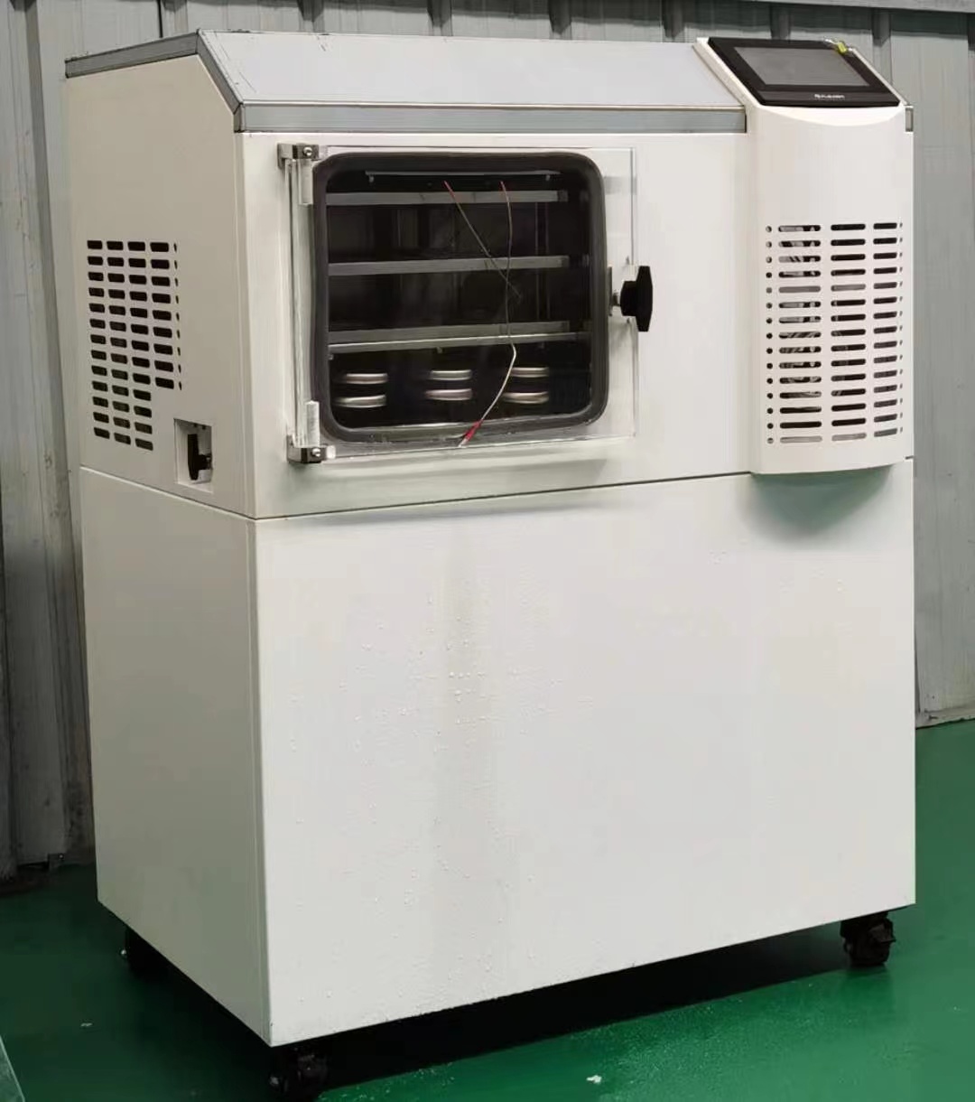 Pharmaceutical Vacuum Freeze Dryer