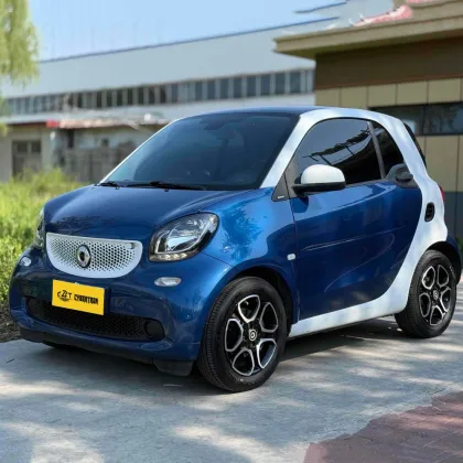 Smart Fortwo 2019 66kW Hardtop Wind Power Edition