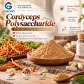 Cordyceps Polysaccharide 20%–60% Extracto en polvo para formulaciones cosméticas y alimentarias