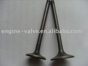 engine valves for HINO