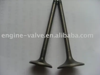 car diesel engine valve for HINO
