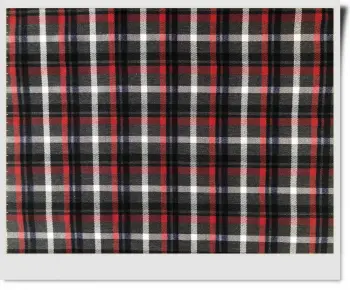 Check Begaline Fabric For Coat