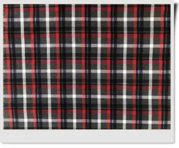 Check Begaline Fabric For Coat