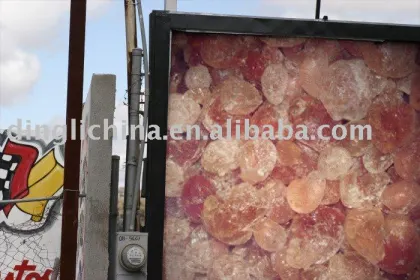 Acacia Gum