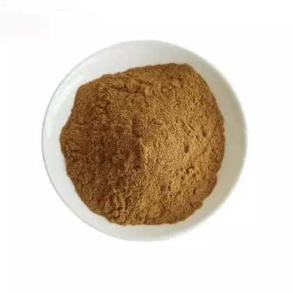 Dandelion Extract Powder for sale