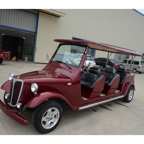 2 passengers gas powered classic cart