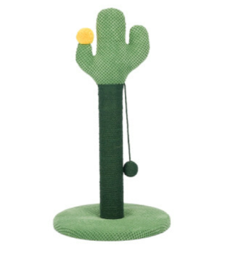Cactus rascando poste con una pelota teaser
