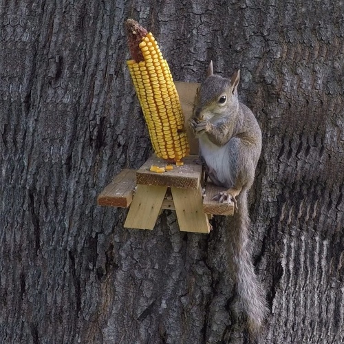 ET-720729 Large Premium Squirrel Feeder Picnic Table, Corn Cob Picnic Table Food Holder