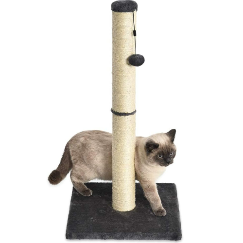 best cat scratching post