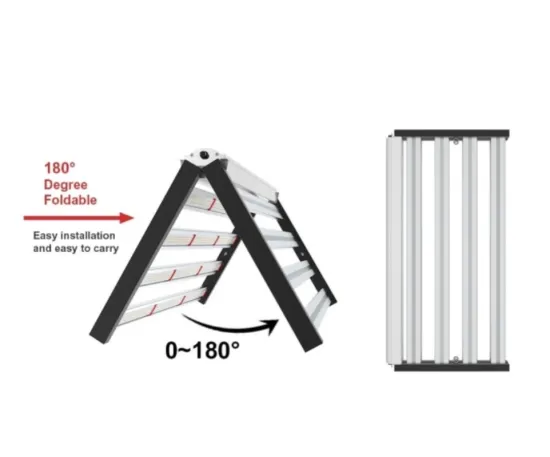 Professional LED Grow Lights for Indoor Plant Growth