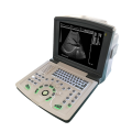 Portable digital black and white ultrasound scanner