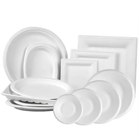 Disposable Restaurant Tableware Bagasse Pulp Plates