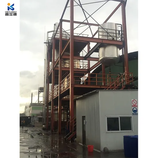 Multi-Purpose Automated Biodiesel Processor Jatropha Biodiesel Machine Biodiesel Engines for Sale