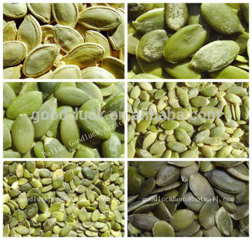 Raw Hulled Pumpkin Seeds ( Raw Pepitas)