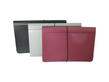 File Folder with 13 Pockets (E1502)