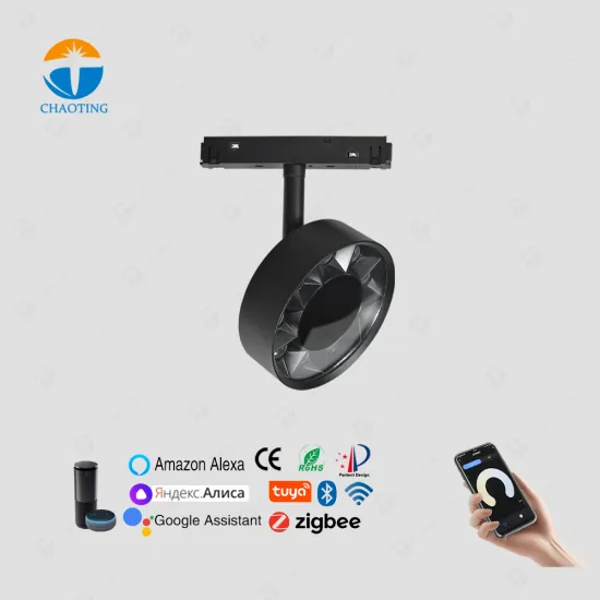 48V 20Mm Smart 9W CRI 90 RA COB Indoor Rail Installation Magnetic LED Spot Lamp