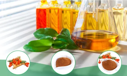 Natural Go ji extract high-quality No additives