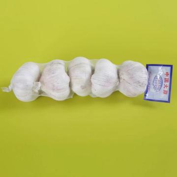 Emballage à l'ail Sac de tube en maille