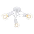 Wire cage shade ceiling light LED light bulb