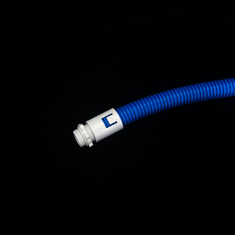 LAN_0485 LAN_0485