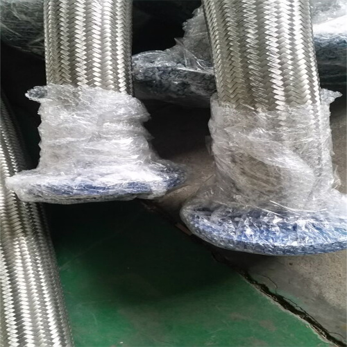 Polyethylene Armor Plate Hose Rayhot Smooth bore PTFE hose Manufactory