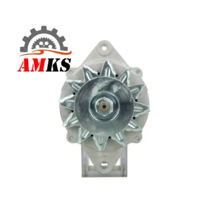 HITACHI 21302 Alternator 12V 100A