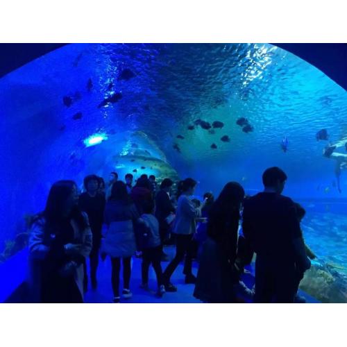 Grande folha de túnel acrílico de aquário para parque de diversões