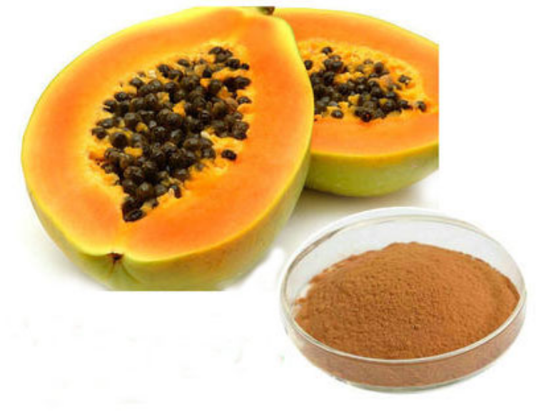 Papaya Seed Juice Extract Png