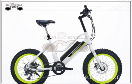 E BIKE