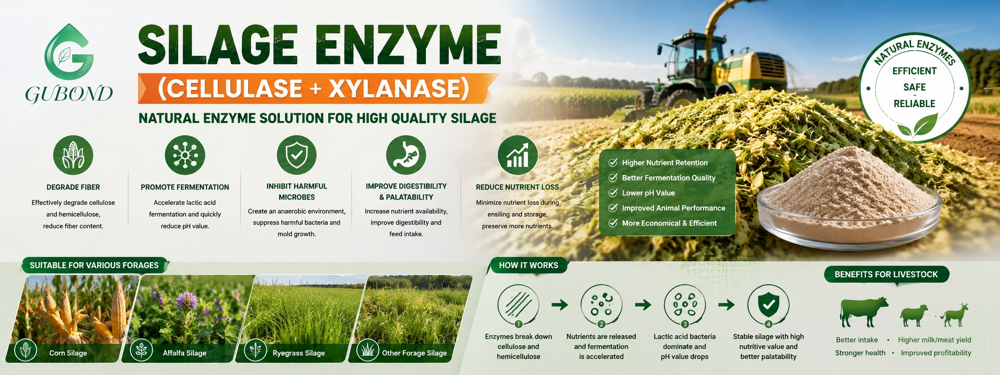 Silage Enzyme (6)