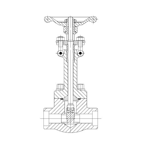 Forged Steel Gate Valve Extended Bonnet