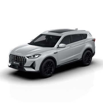 China Chery Jetour X70Pro 1.5T L2.5 Autopilot 5/7 Sitzer SUV