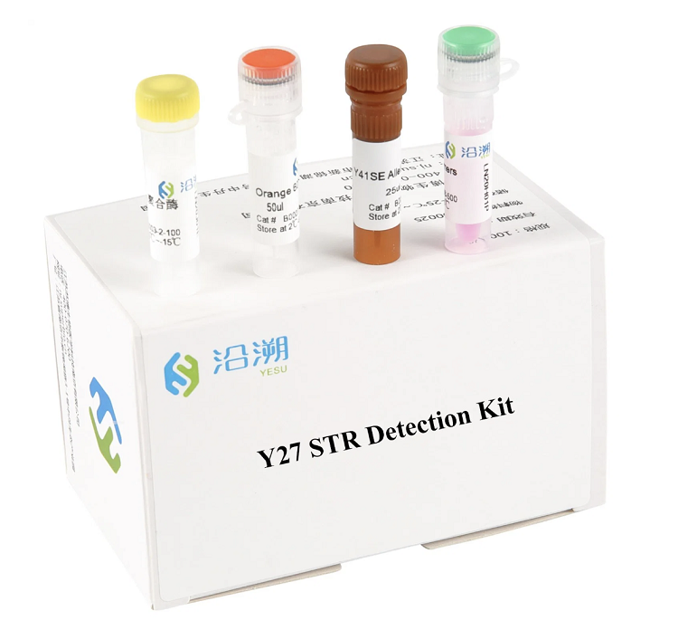 Y27 Plex Str Detection Kit