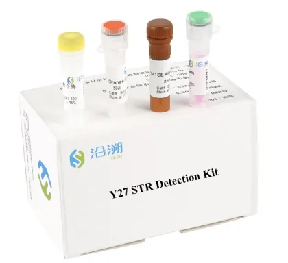 Y27 Plex STR Detection Kit