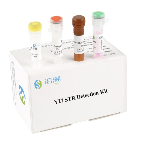 Y27 Plex STR Detection Kit