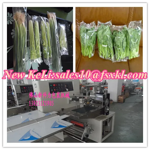 Fresh leaf vegetables flow packaging machine