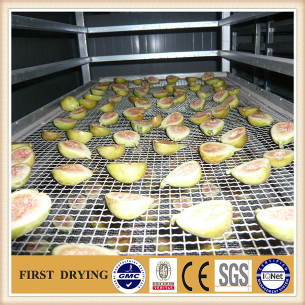 High Quality Dw Mesh Belt Dryer for Fruit and Vegetable