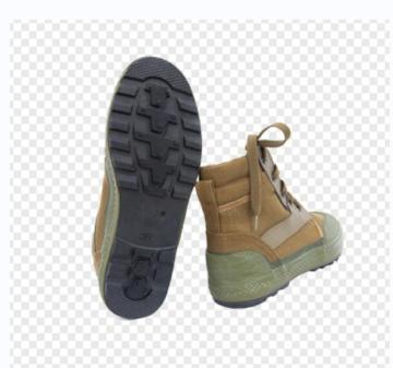 Canvas Shoes