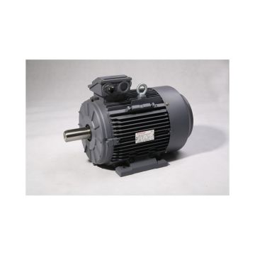 TECHTOP BL3-AL-TF-56C-2-B-D-2 Servo Motor: Brand New, Original Product with One Year Warranty