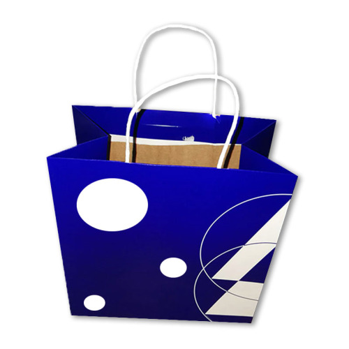 Christmas Wrapped Gift Carton Bag