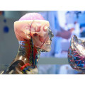 3D -Druck medizinische Teile