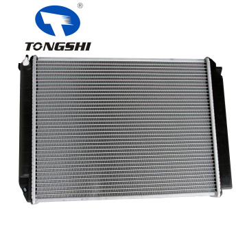 Aluminum radiator for Futian sea lion scenery 493 auto radiator