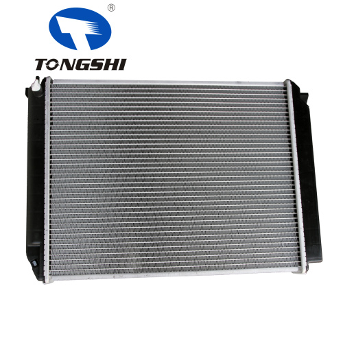 Aluminum radiator for Futian sea lion scenery 493 auto radiator