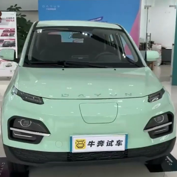 2022-2023 Chinese EV Car Market: Dayun Luxury Pure Electric Vehicles with 300km to 330km Range