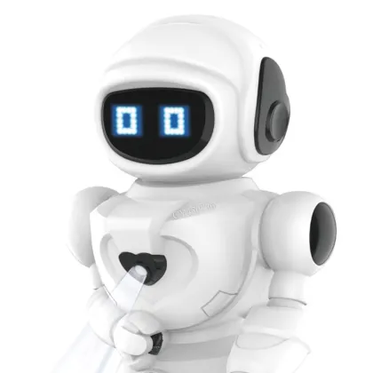 Flytec Electronic Toys: Interactive Singing and Walking Robot with Lights - An Educational Learning Companion
